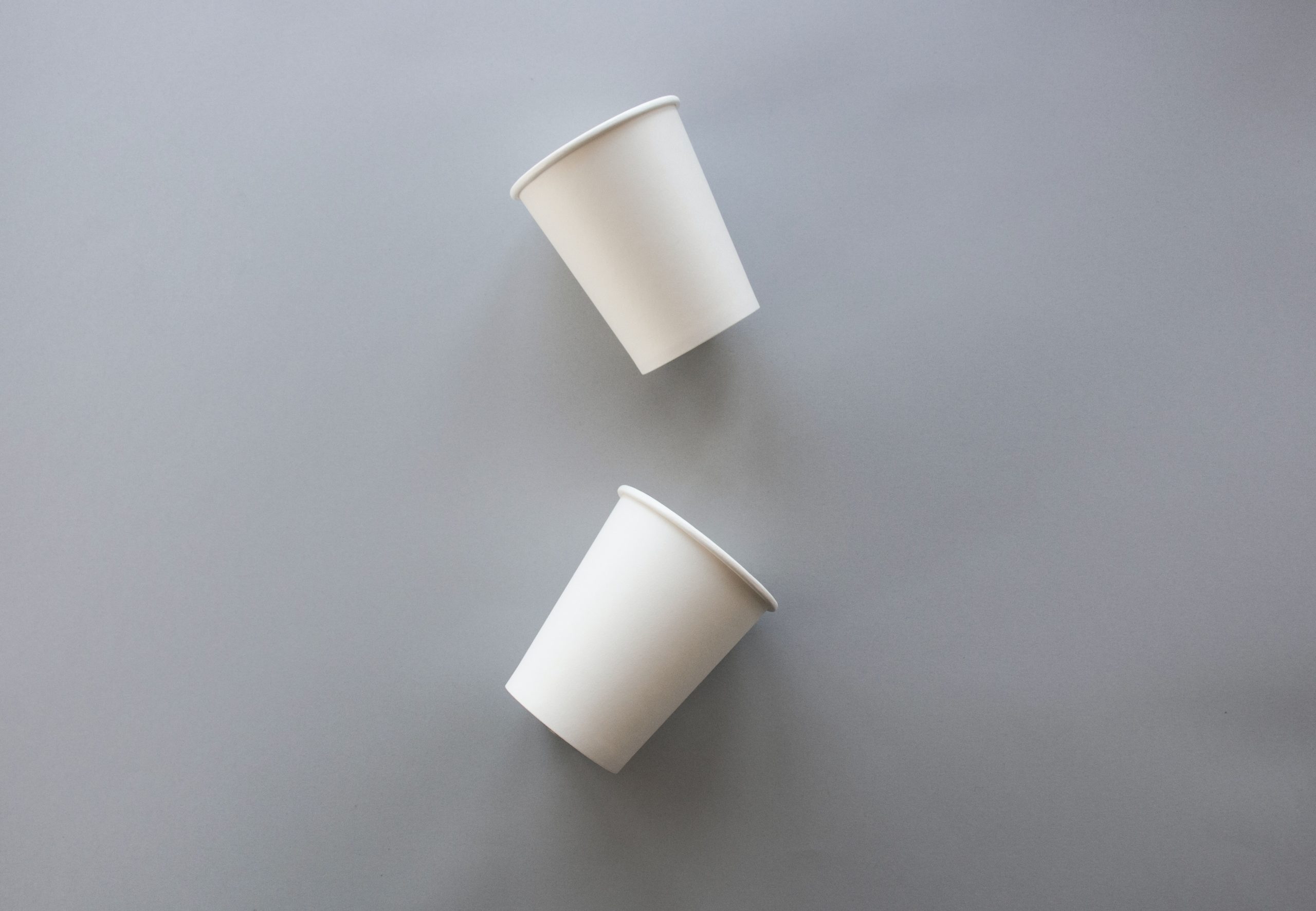 NextGen Consortium proposes paper cup recycling plan in US